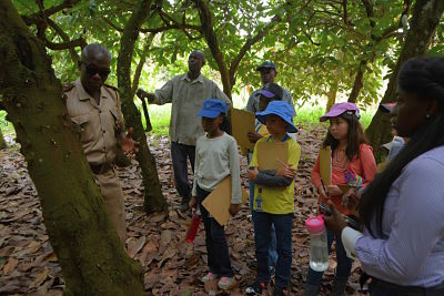 Gye Nyame Cocoa Farm