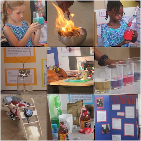 Science Projects New Collage